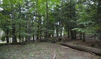 16568 WAGNER Rd, Almira, MI 49650