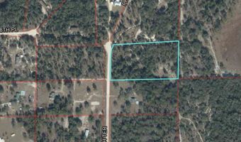 12791 NE 113TH Ter, Archer, FL 32618