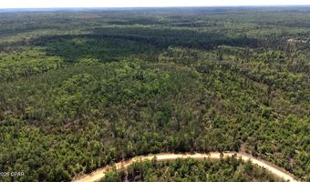 Broadview Avenue, Alford, FL 32420