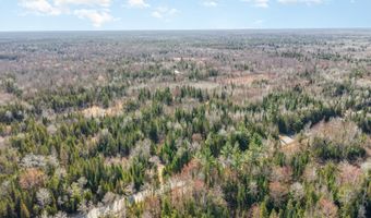 6002 Wildwood, Alger, MI 48610