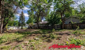 1132 Alger Ave, Cody, WY 82414