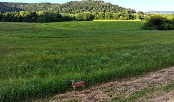 TBD Bear Pen Rd, Arkansaw, WI 54721