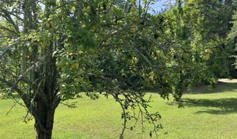 2514 Lumpkin Rd, Augusta, GA 30906