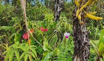 16-1774 40th Ave, Keaau, HI 96749