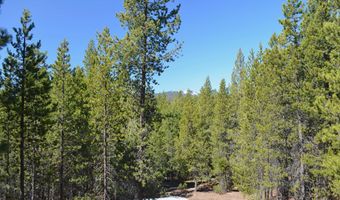 142024 Blue Sky Way, Crescent Lake, OR 97733
