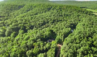 2691 Old Mountain Dr, Alpena, AR 72611