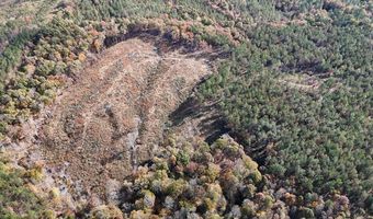 Hwy 9, Bruce, MS 38915