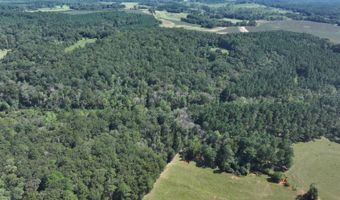 4496 State Hwy 130, Banks, AL 36005