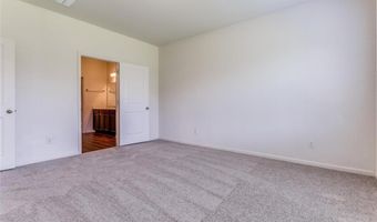 825 Cherry Blossom St, Anna, TX 75409