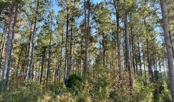 TBD Binnicker Bridge Road, Bamberg, SC 29003