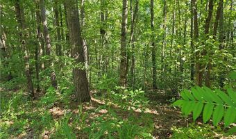 0 Byers Dr, Ball Ground, GA 30107