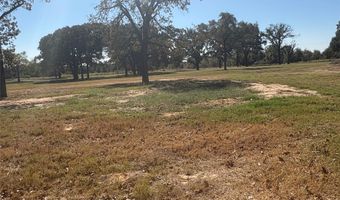 5047 N FM 17, Alba, TX 75410