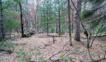 255 45 Ac Dover Dr, Adams, WI 53910