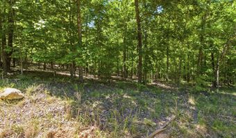 County Road 101, Alton, MO 65606