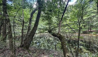 Pine Lodge Road, Batesville, MS 38606