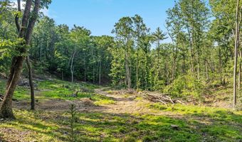 417 MALLARD Dr, Basye, VA 22810