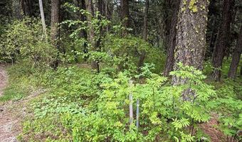 518 Susan Rd Lot 39, Cascade, ID 83611