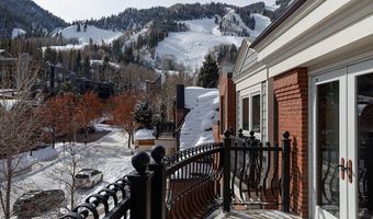 415 E Dean St Unit 10 Weeks 51 + 52, Aspen, CO 81611
