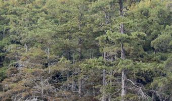 Bolivar Road, Benoit, MS 38725