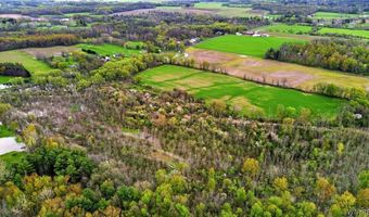 Beaver Road, Alexander, NY 14005