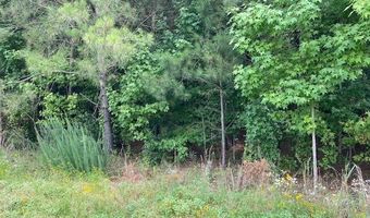 Lot 1-D Daniels Lane, Bennettsville, SC 29512