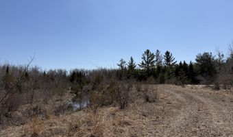 139 AC Witt Rd, Alpena, MI 49707