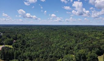 TBD Pine Street, Arkadelphia, AR 71923