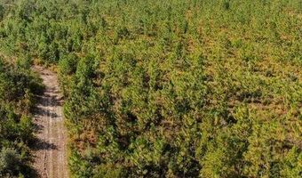 21526 NW Isoletta Ln, Altha, FL 32421