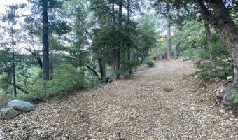 0 Ca-38, Angelus Oaks, CA 92305