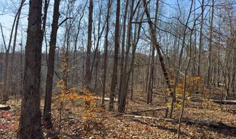 0 W Captina Highway Rd, Alledonia, OH 43902