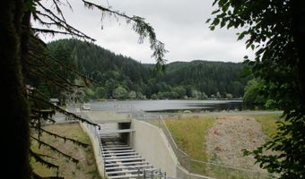 71250 NORTHSHORE Dr, Birkenfeld, OR 97016