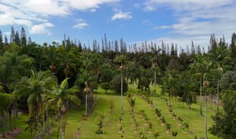 29-3707 KANNA Rd, Hakalau, HI 96710