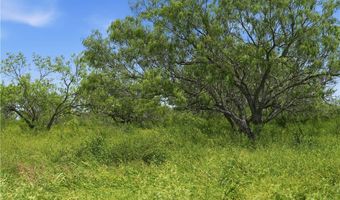 3124 County Road 220, Alice, TX 78332