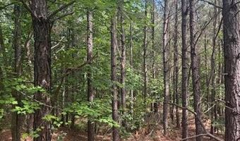 Piney Mountain Rd, Appomattox, VA 24522