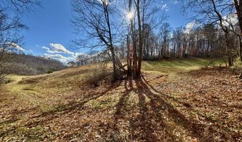 1520 Brittontown Rd, Afton, TN 37616