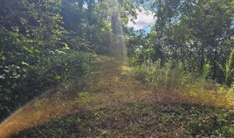 97 Destination Dr, Asheville, NC 28806