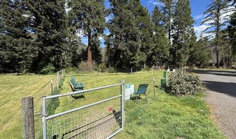 54432 MCKENZIE Hwy 40, Blue River, OR 97413