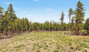 52 Meadowlake Dr, Black Hawk, CO 80422