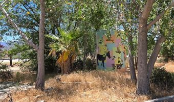 38800 Bahrman Rd, Anza, CA 92539