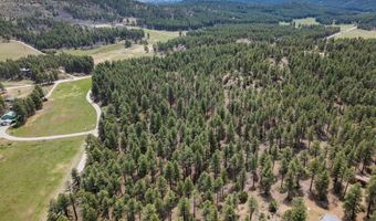 135 Meadow Ln, Bayfield, CO 81122