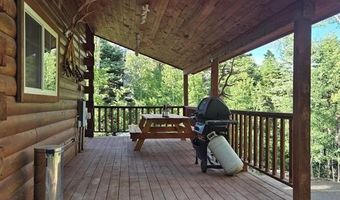 1407 Clarke Mountain Ln, Antonito, CO 81120