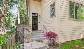 123 W Hyman Ave Unit A, Aspen, CO 81611