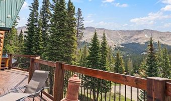 229 Lee Ln, Breckenridge, CO 80424