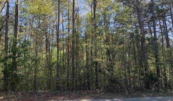 0 Woodhaven Ln TRACT B, Centerville, GA 31028
