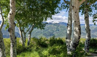 84 Wild Rose, Avon, CO 81620