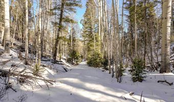 45 Sacramento Dr, Angel Fire, NM 87710