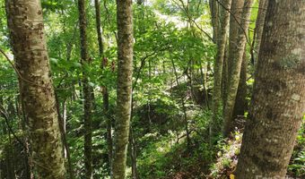 Green Ridge Falls Road, Barnardsville, NC 28709