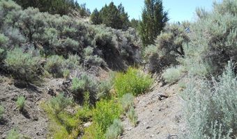 8210 Ml Crk Rd, Battle Mountain, NV 89820