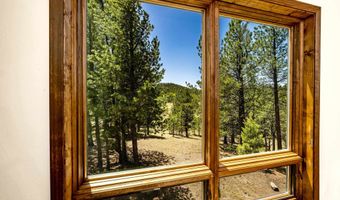 253 Saladon Rd, Angel Fire, NM 87710