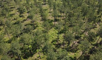 0 S County Road 33, Ashford, AL 36312
